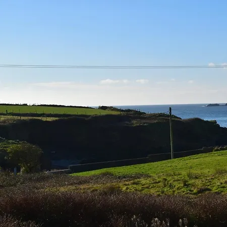 Ballymore House לינה וארוחת בוקר ונטרי